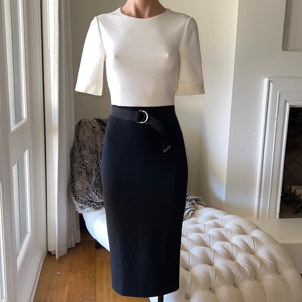 Ted Baker Dress with Zipper Back